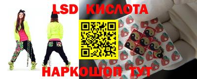 дживик Моздок