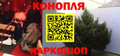 дживик Моздок