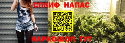 дживик Моздок