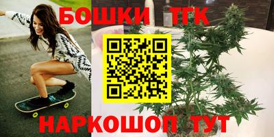 дживик Моздок