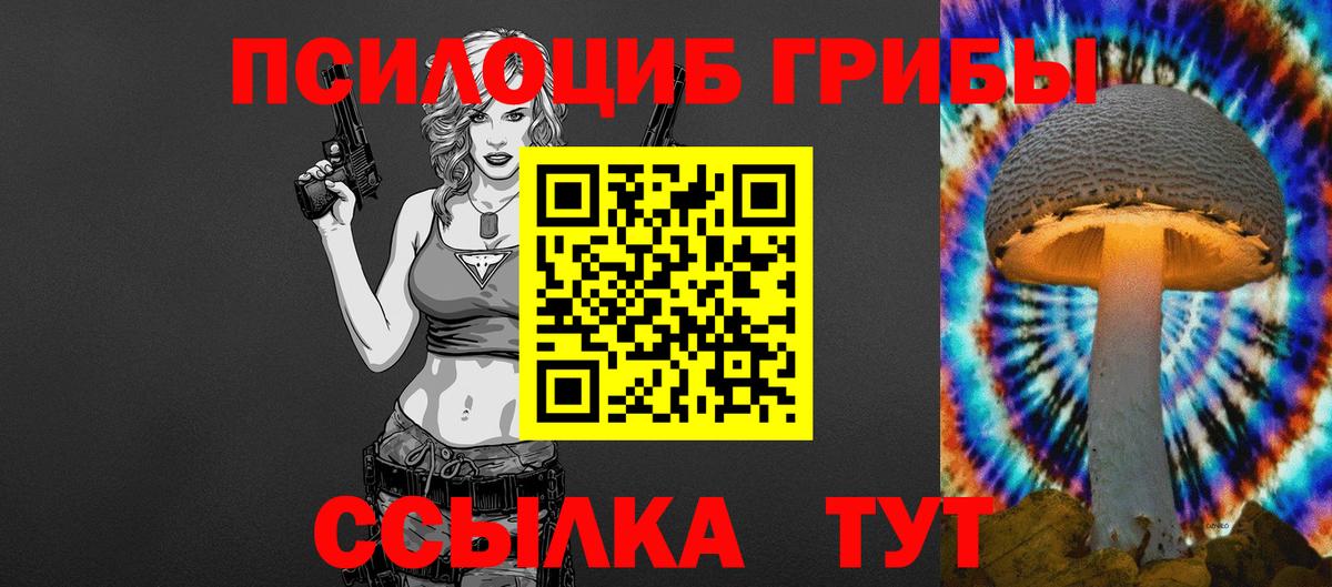 Химки  Галлюциногенные грибы прущие грибы  Вход с VPN  Галлюциногенные грибы Cubensis 